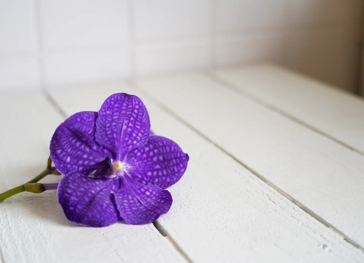 2347e962e1515eb05e0f98d76be21a