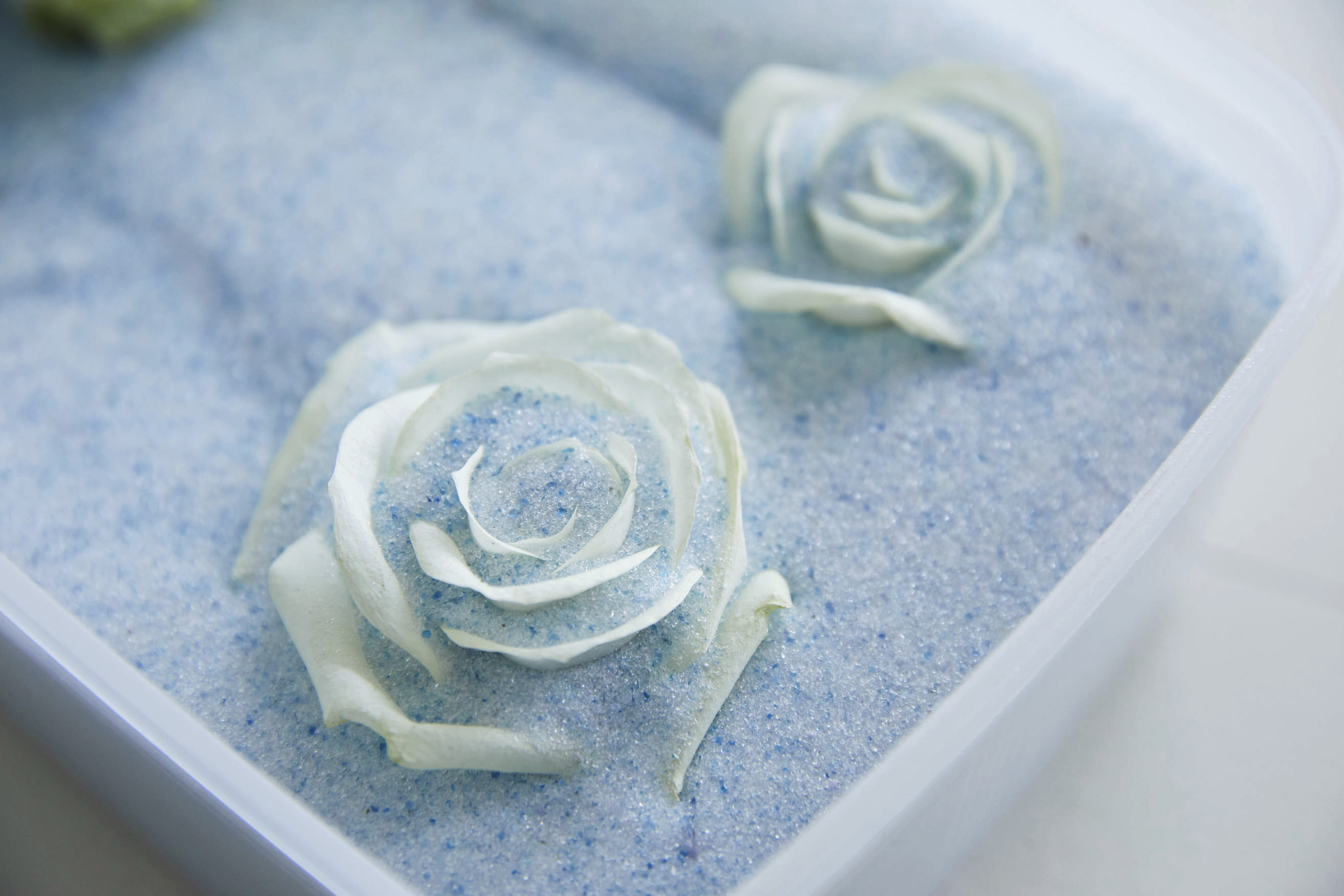 カナックスの手しごと】バラがドライフラワーになるまで | カナックス